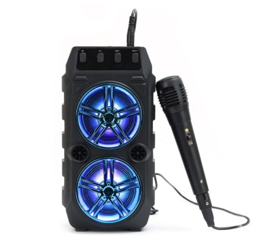 Outdoor Portable Loud Speaker