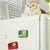 Stickers Bluetooth Stereo Speakers
